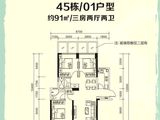 金地扑满花园_3室2厅2卫 建面91平米