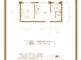 磊阳天府_1室1厅1卫 建面56平米