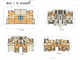 碧桂园贵安1号_6室2厅6卫 建面450平米