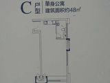 中南中央商务区_1室1厅1卫 建面48平米