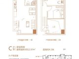 恒锦玖珑时代广场_2室1厅1卫 建面52平米