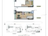 龙湖汉峪光年_C2户型 建面35平米